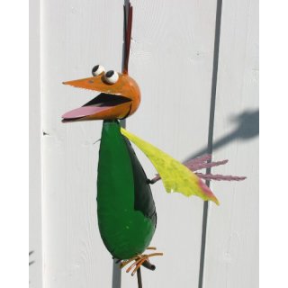 Vogel Cuervo , grüner Körper
